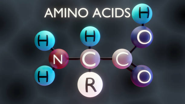 Amino Acids